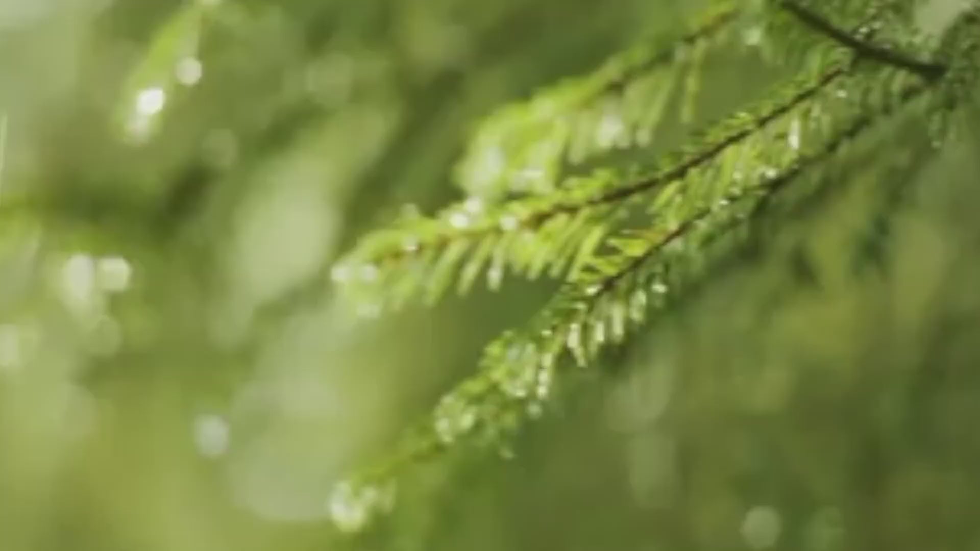 CloudMist™ Humidificateur Nuage de Pluie & Diffuseur d'Arômes
